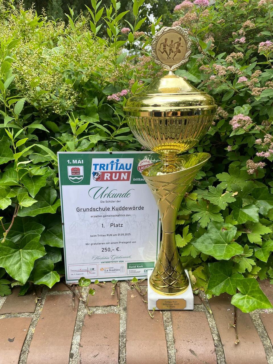 Schüler Cup 2025