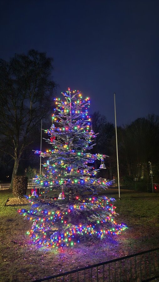 Bild vergrößern: Weihnachtsbaum 2025 1