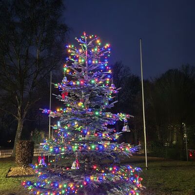 Weihnachtsbaum 2025 1