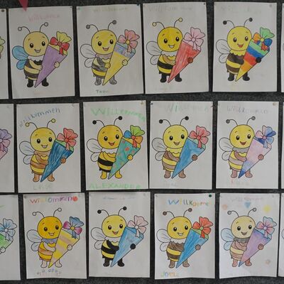 Bienenklasse