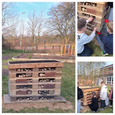 Insektenhotel Grundschule Kuddewörde